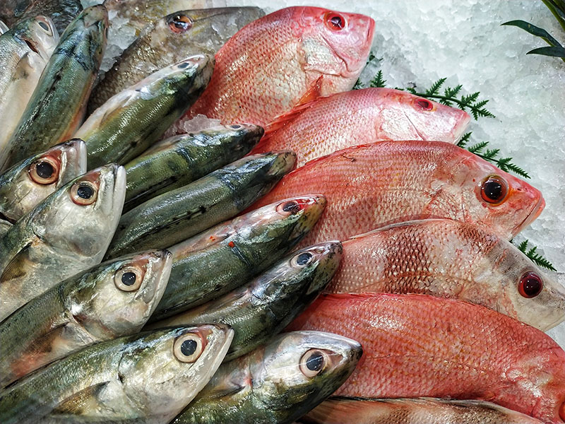 Livraison poissons frais Tardets-Sorholus