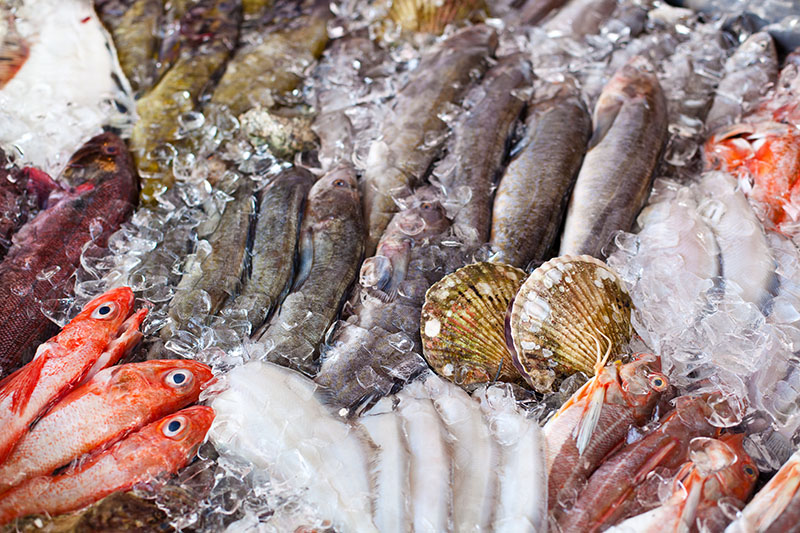 Livraison poissons frais Oloron-Sainte-Marie